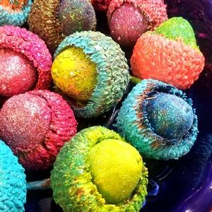 Hand painted jumbo acorn Christmas ornaments.